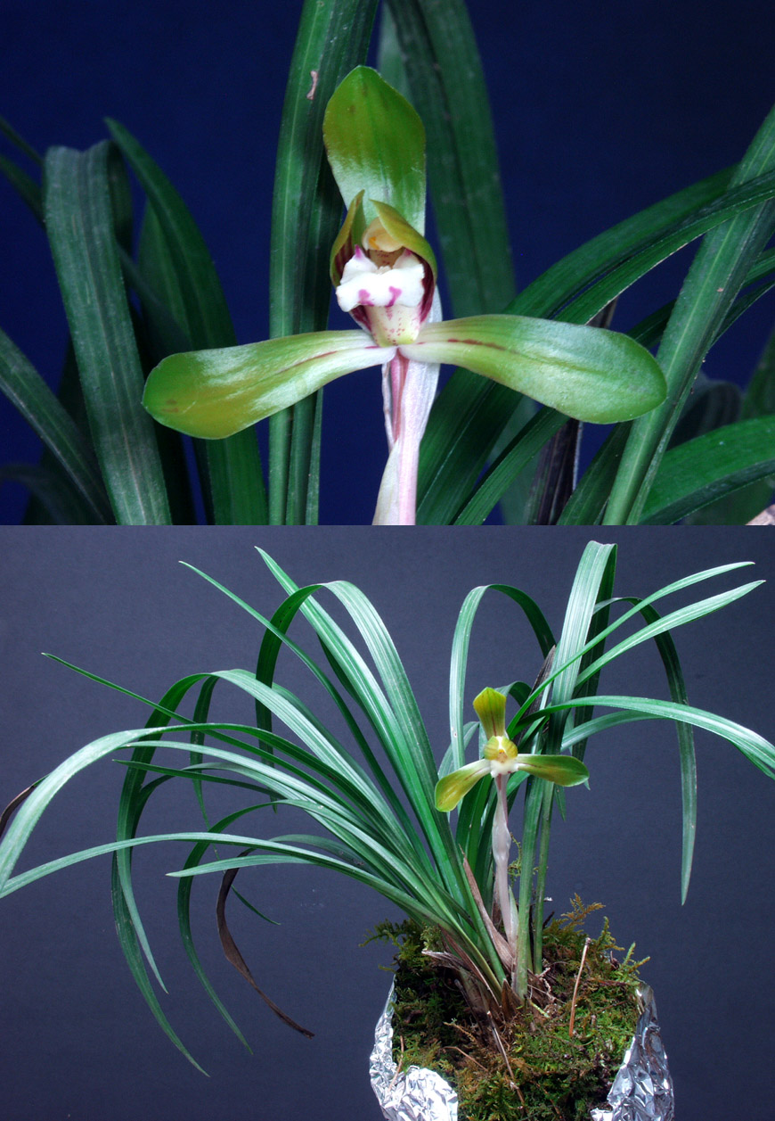 ������ ū������ �� �� �ֽ��ϴ�.