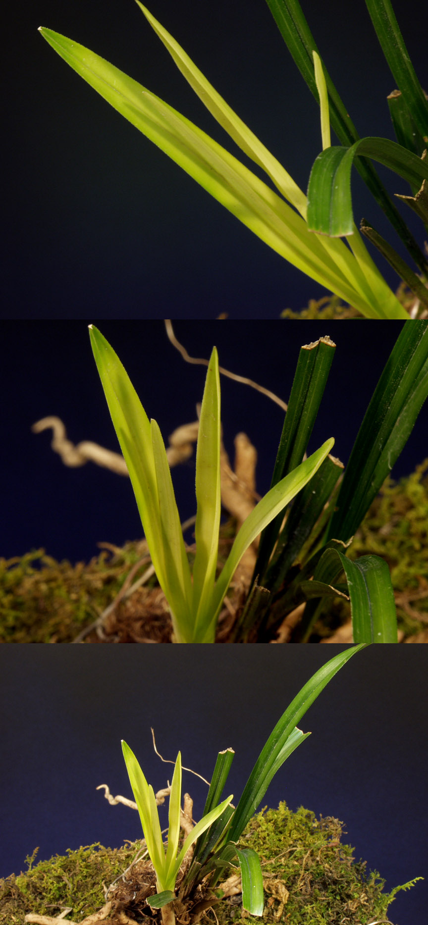 ������ ū������ �� �� �ֽ��ϴ�.