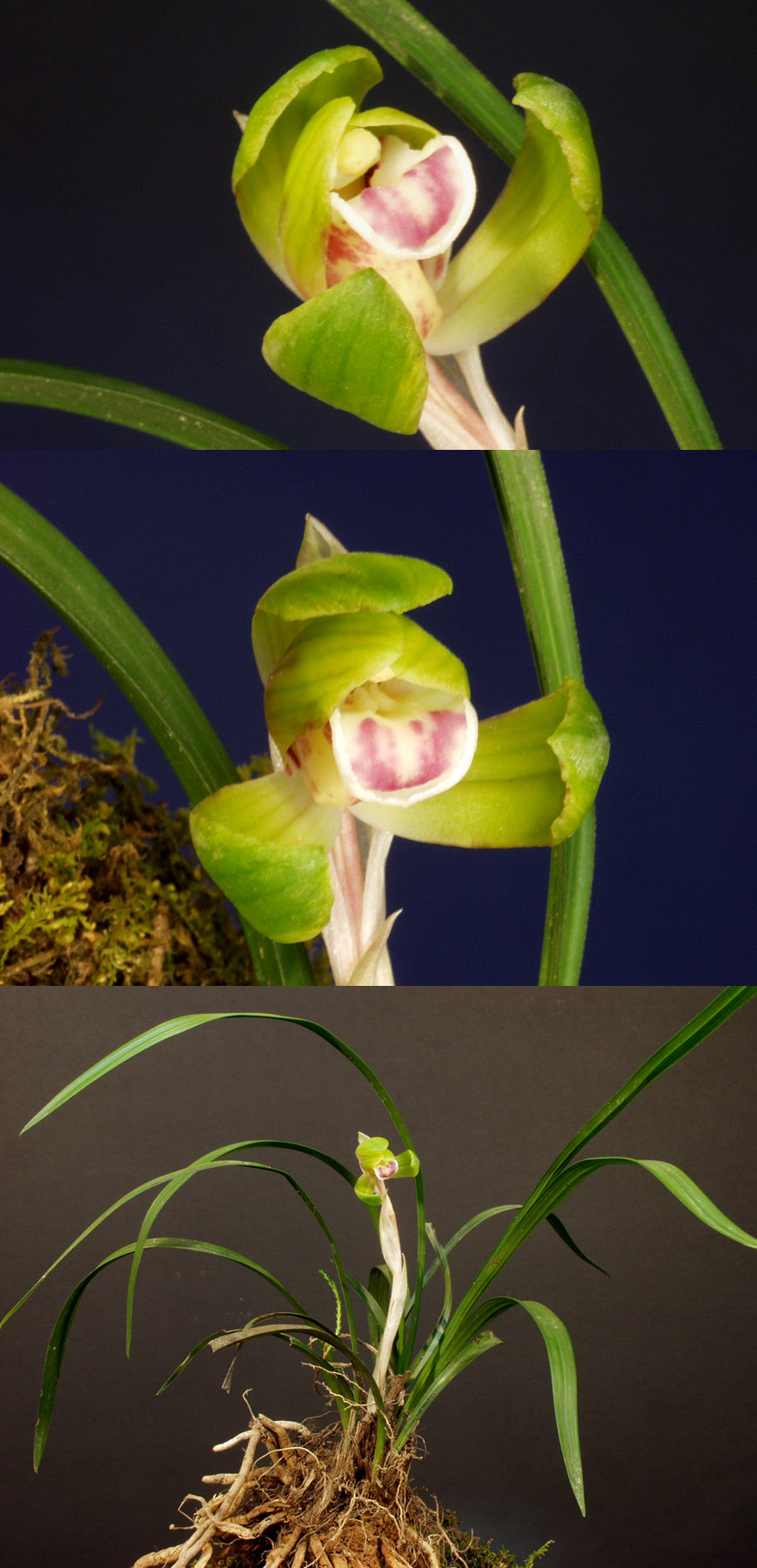 ������ ū������ �� �� �ֽ��ϴ�.