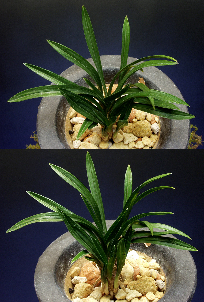 ������ ū������ �� �� �ֽ��ϴ�.