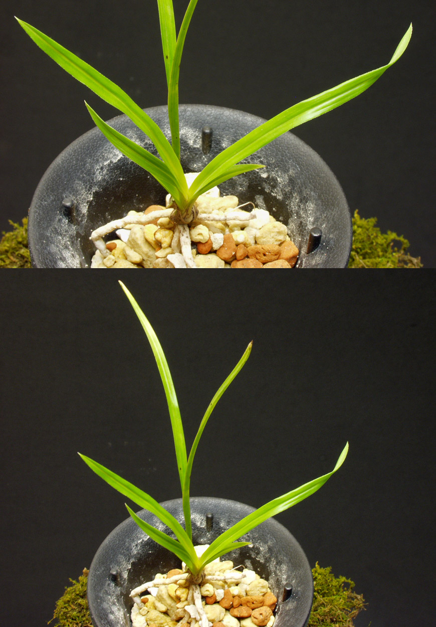 ������ ū������ �� �� �ֽ��ϴ�.