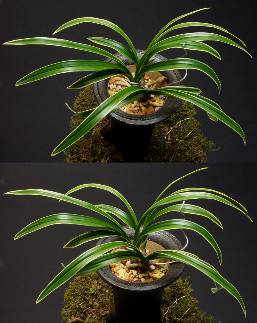 ������ ū������ �� �� �ֽ��ϴ�.