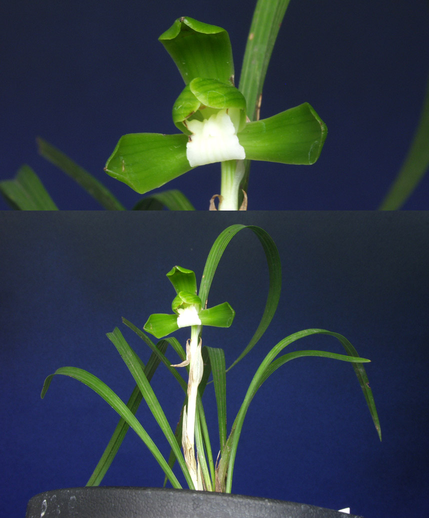 ������ ū������ �� �� �ֽ��ϴ�.