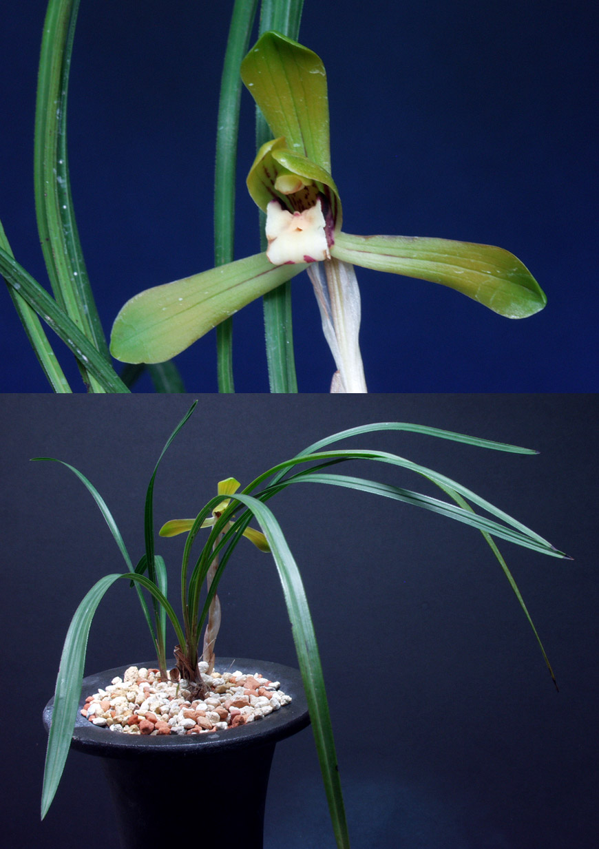 ������ ū������ �� �� �ֽ��ϴ�.