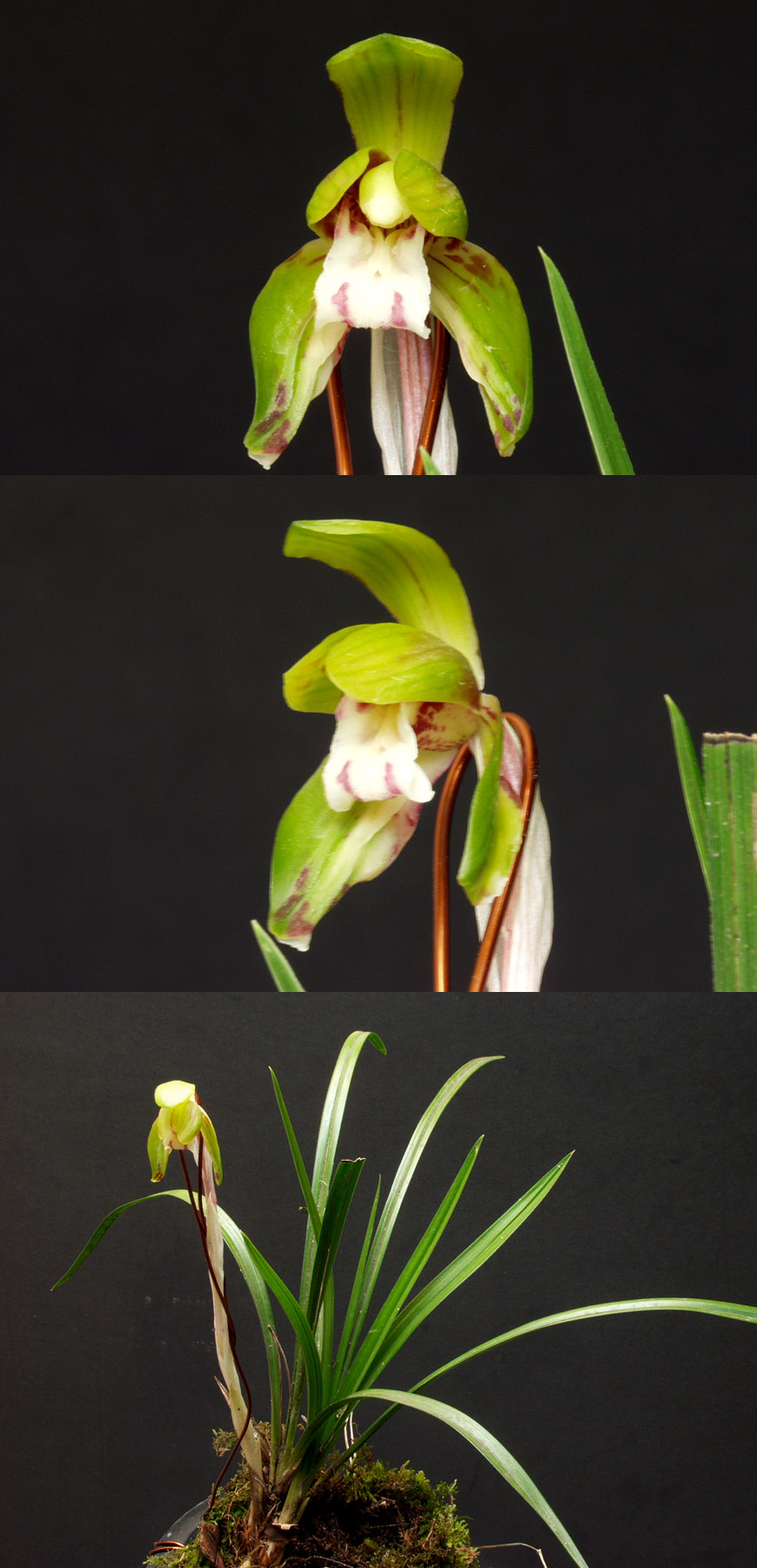 ������ ū������ �� �� �ֽ��ϴ�.