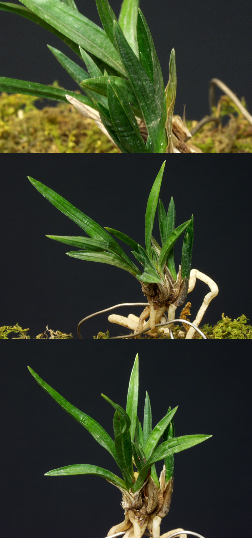 ������ ū������ �� �� �ֽ��ϴ�.