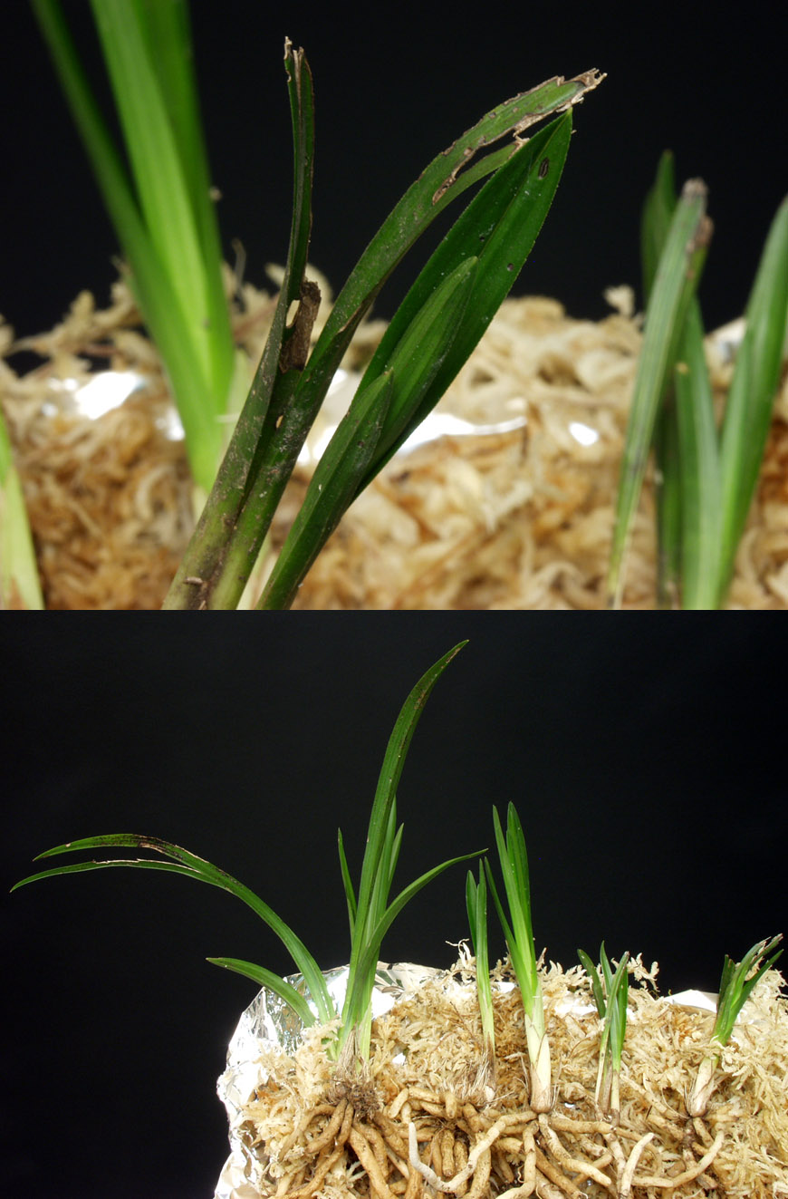 ������ ū������ �� �� �ֽ��ϴ�.