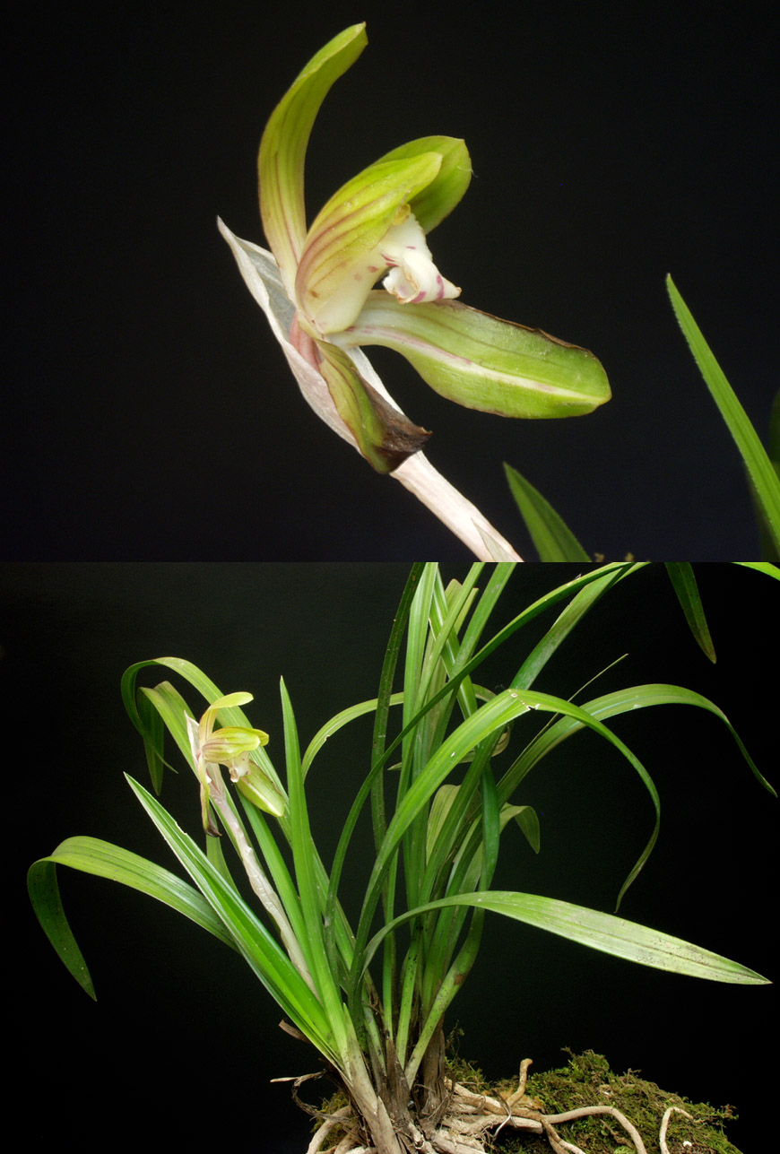 ������ ū������ �� �� �ֽ��ϴ�.