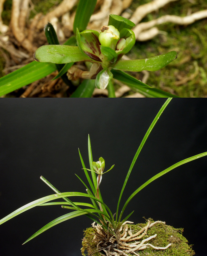 ������ ū������ �� �� �ֽ��ϴ�.