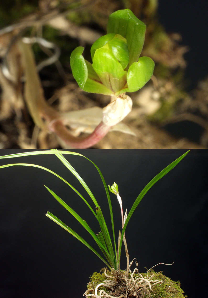 ������ ū������ �� �� �ֽ��ϴ�.