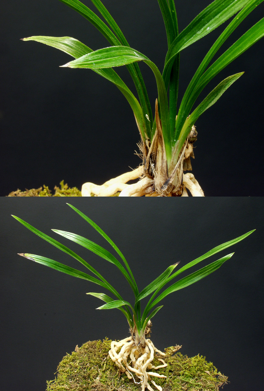 ������ ū������ �� �� �ֽ��ϴ�.