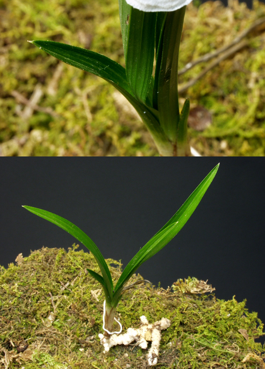 ������ ū������ �� �� �ֽ��ϴ�.