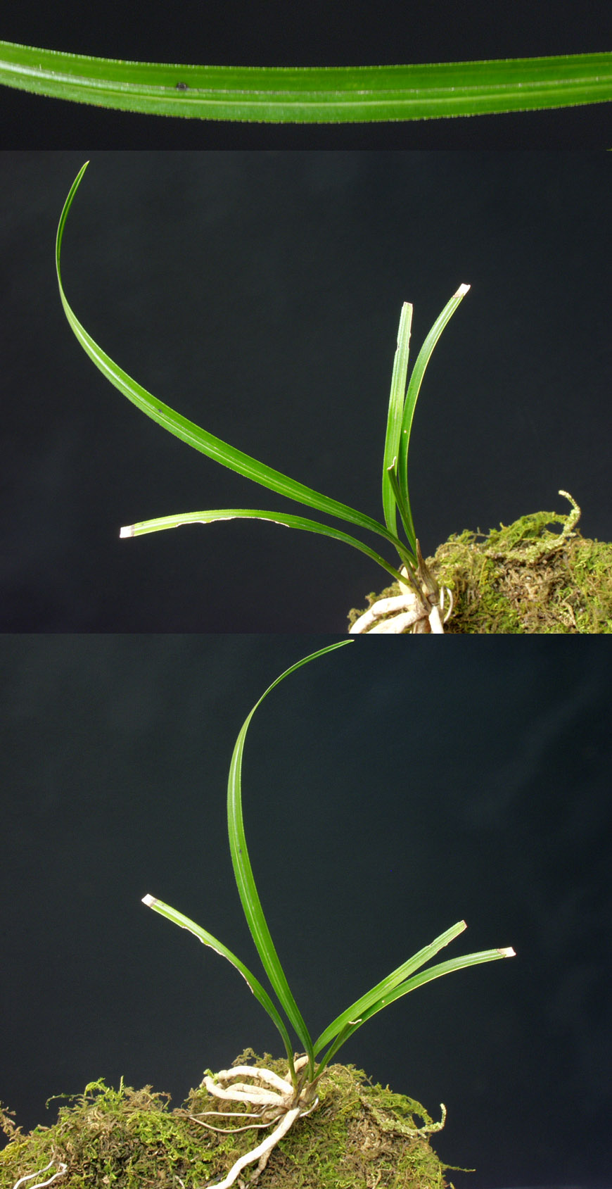 ������ ū������ �� �� �ֽ��ϴ�.