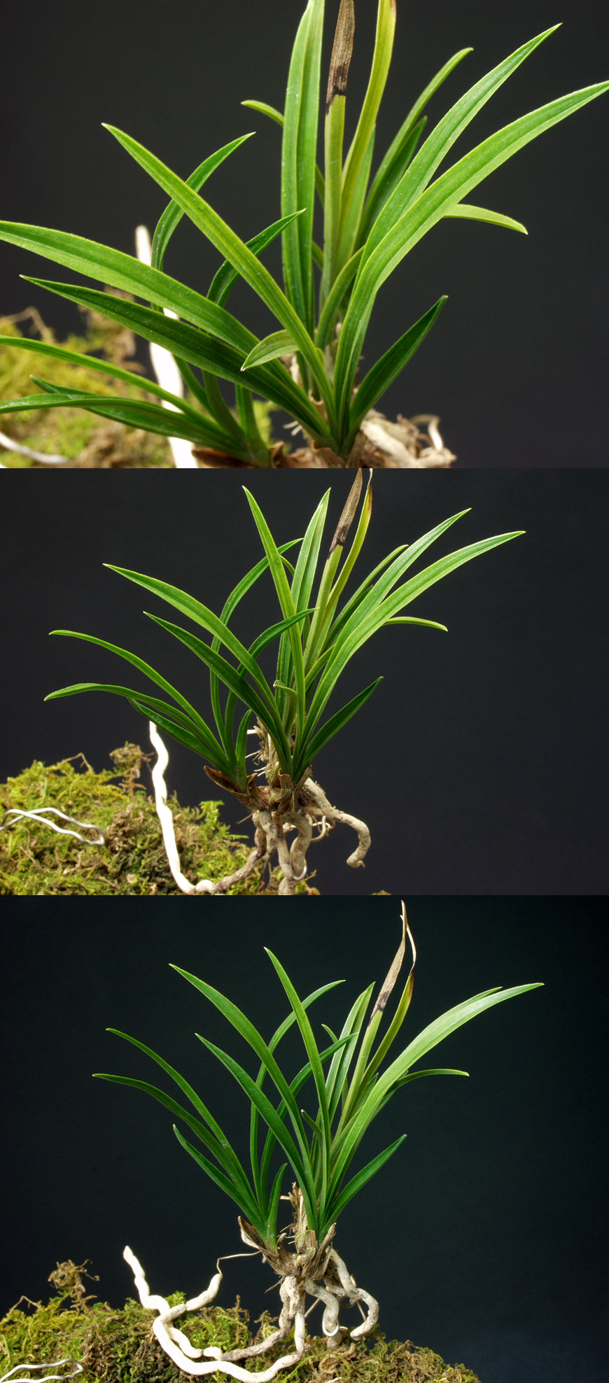 ������ ū������ �� �� �ֽ��ϴ�.