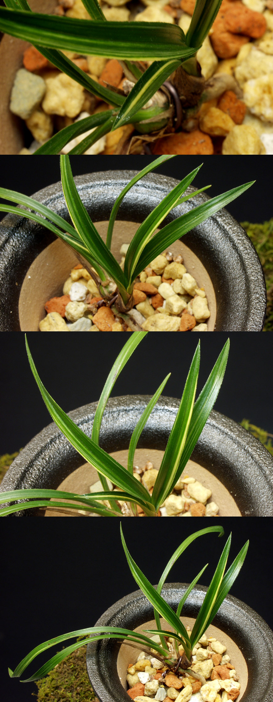 ������ ū������ �� �� �ֽ��ϴ�.