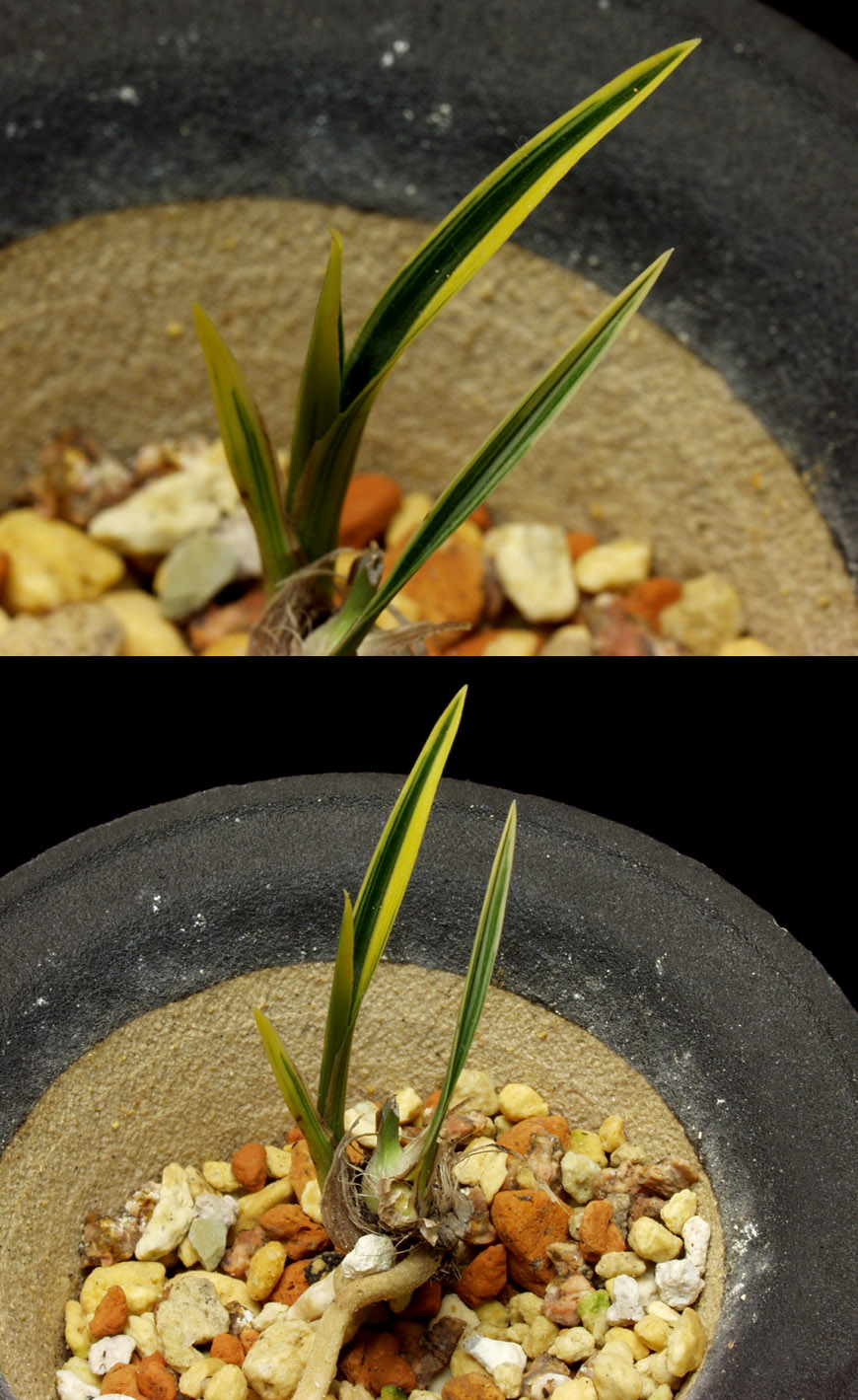 ������ ū������ �� �� �ֽ��ϴ�.