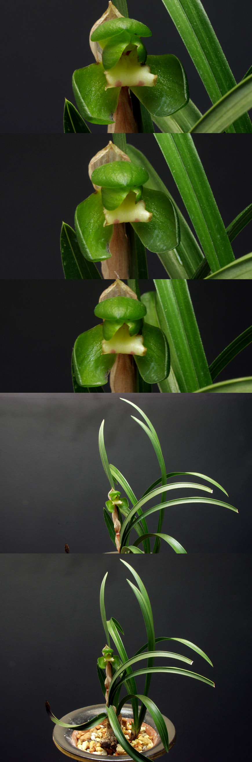 ������ ū������ �� �� �ֽ��ϴ�.