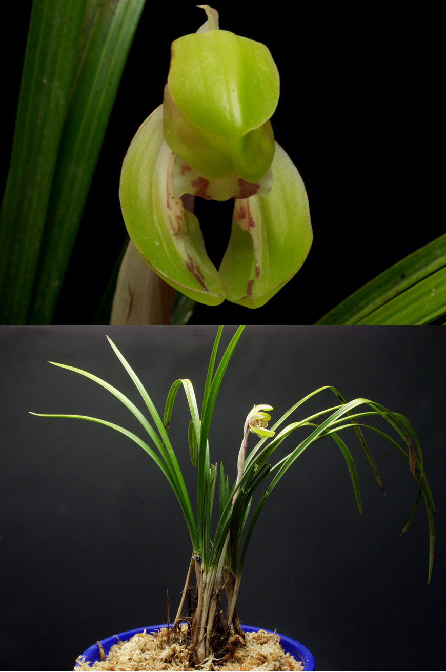 ������ ū������ �� �� �ֽ��ϴ�.