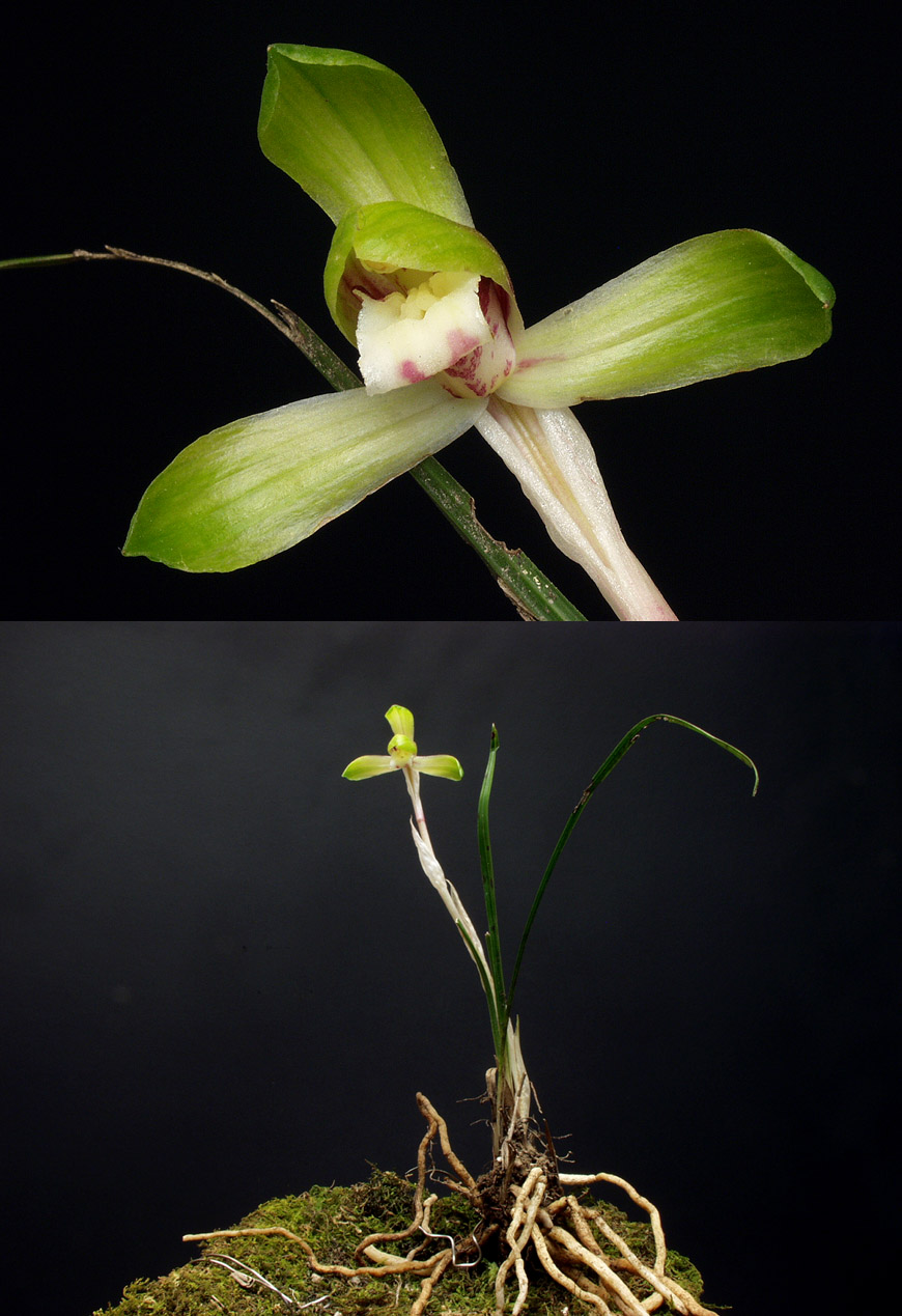 ������ ū������ �� �� �ֽ��ϴ�.