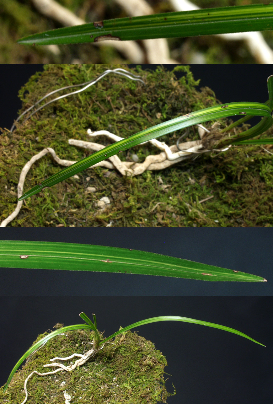 ������ ū������ �� �� �ֽ��ϴ�.