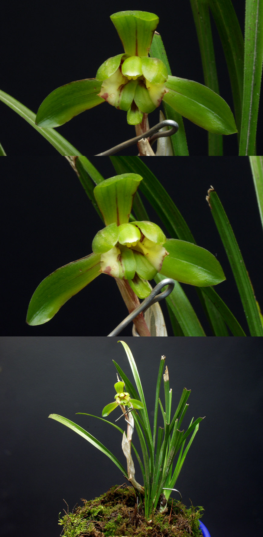 ������ ū������ �� �� �ֽ��ϴ�.