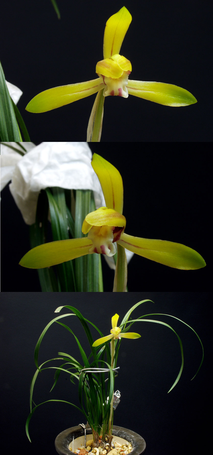 ������ ū������ �� �� �ֽ��ϴ�.