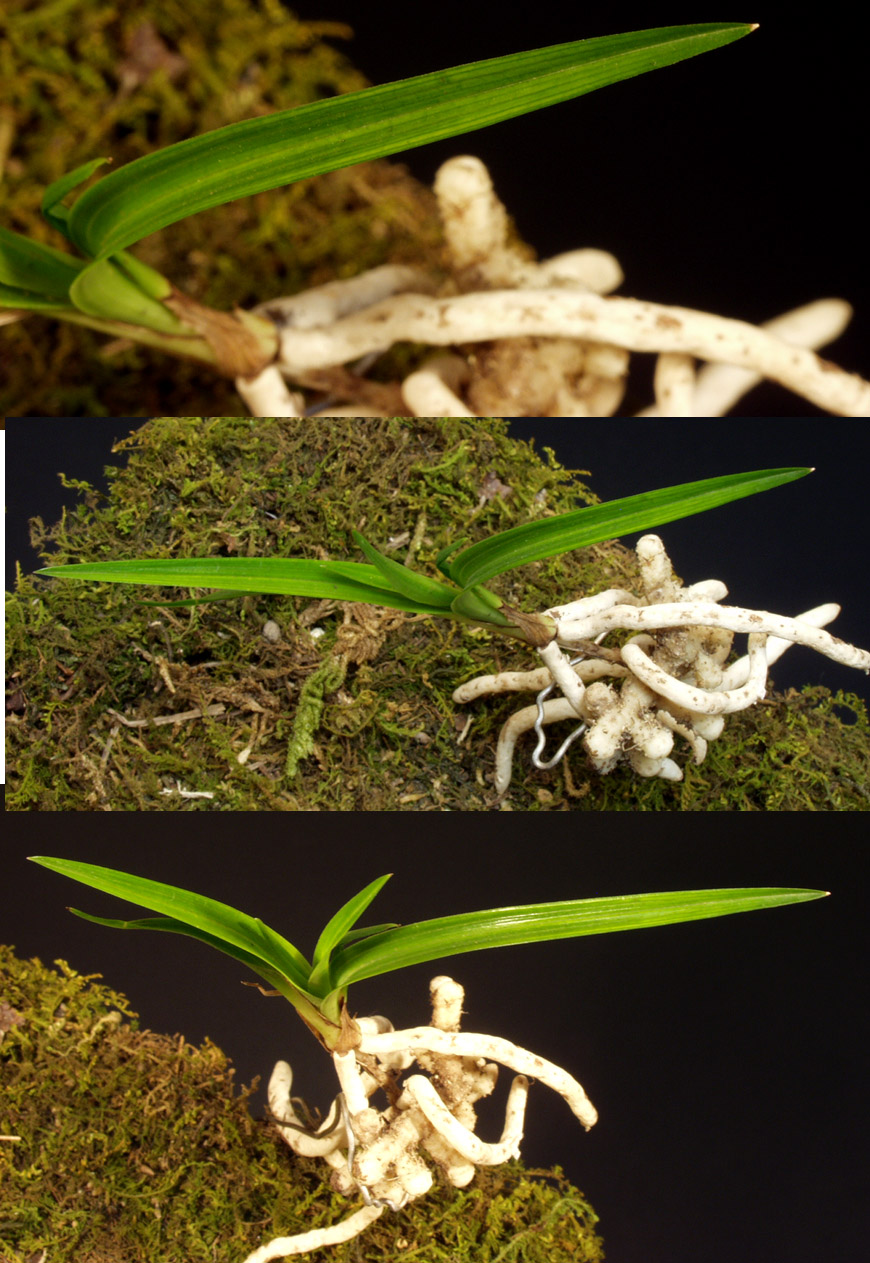 ������ ū������ �� �� �ֽ��ϴ�.