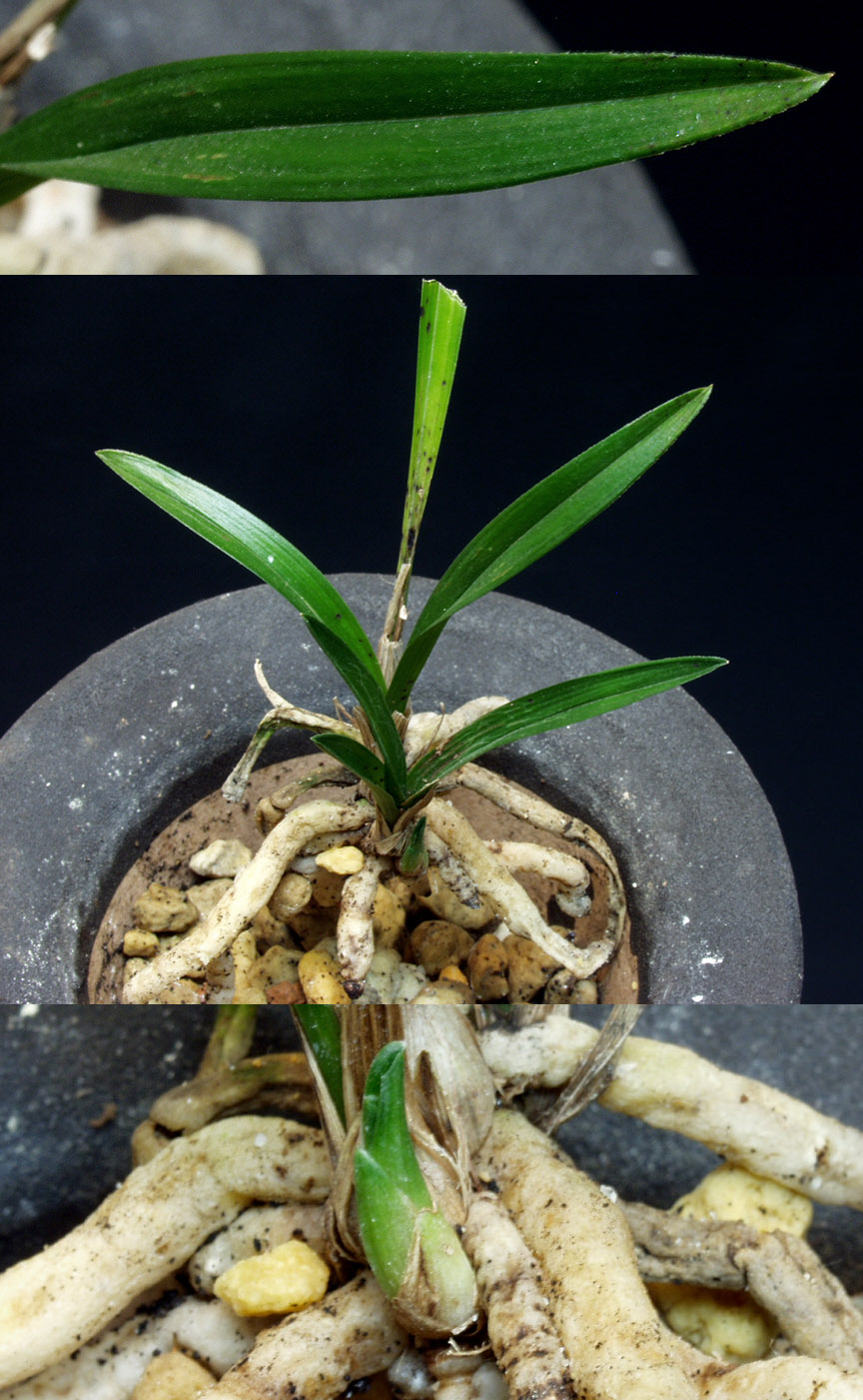 ������ ū������ �� �� �ֽ��ϴ�.