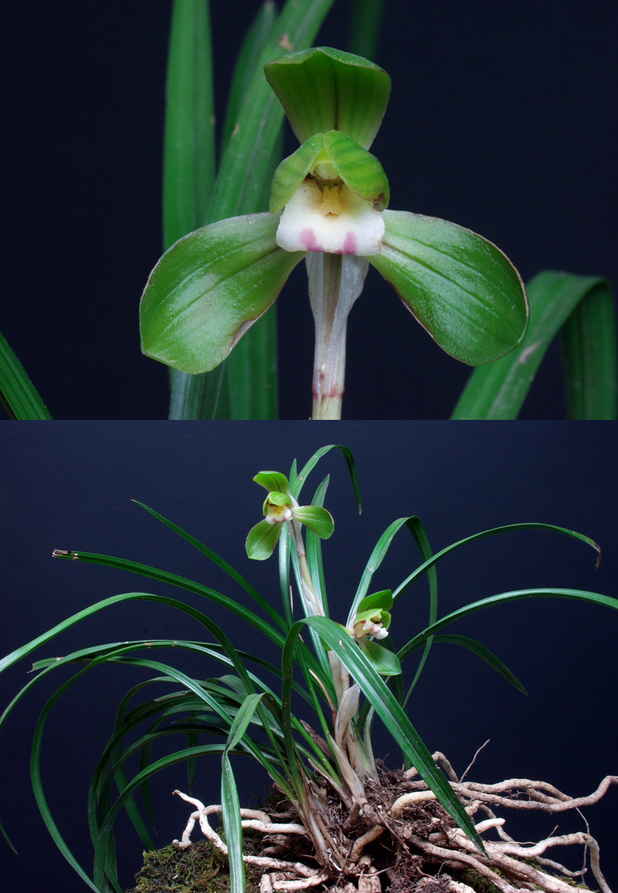 ������ ū������ �� �� �ֽ��ϴ�.