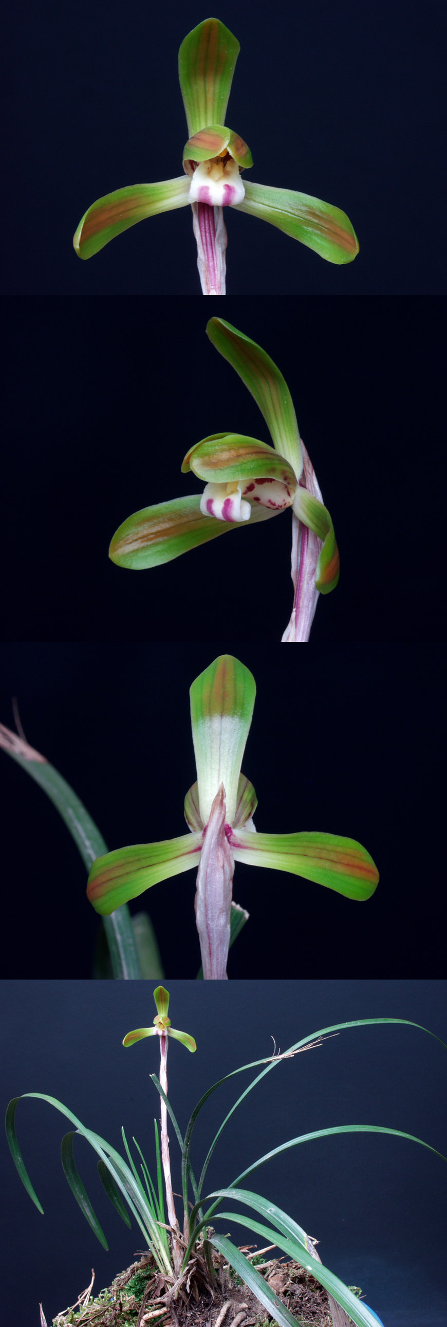 ������ ū������ �� �� �ֽ��ϴ�.