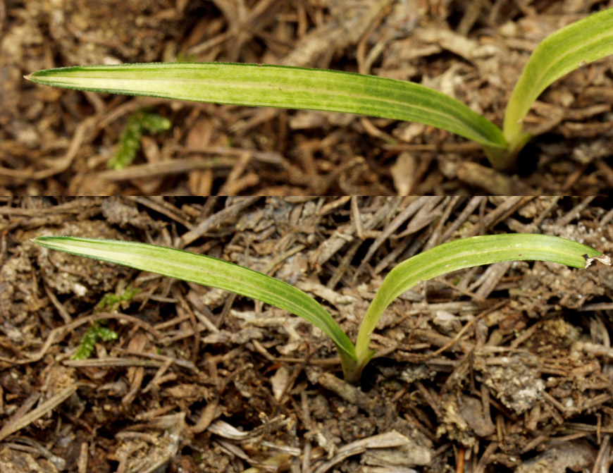 ������ ū������ �� �� �ֽ��ϴ�.