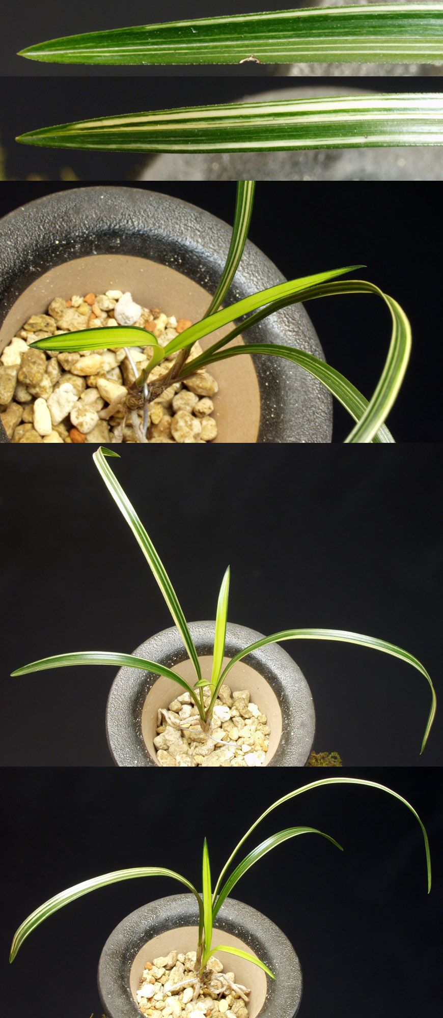 ������ ū������ �� �� �ֽ��ϴ�.