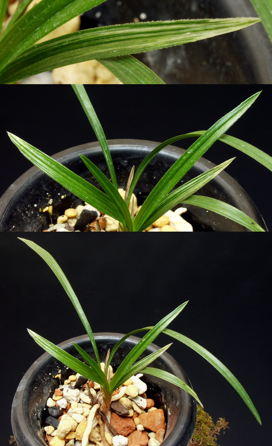 ������ ū������ �� �� �ֽ��ϴ�.