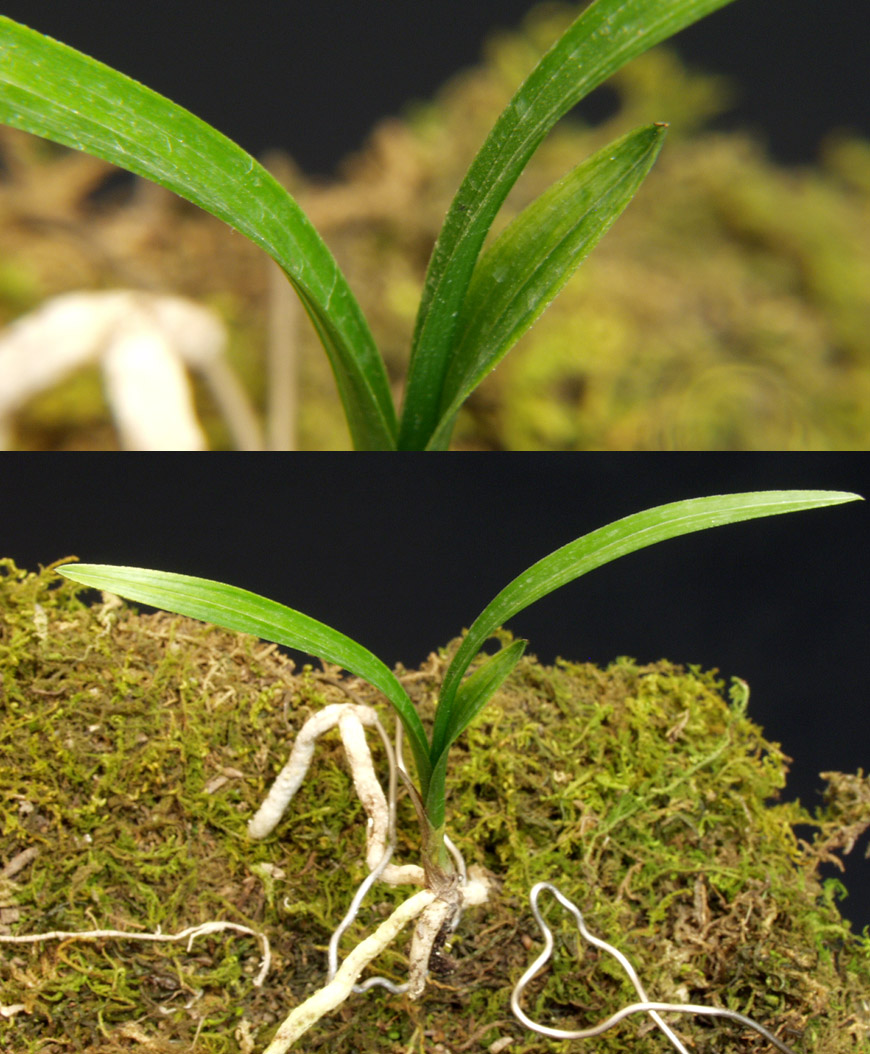 ������ ū������ �� �� �ֽ��ϴ�.