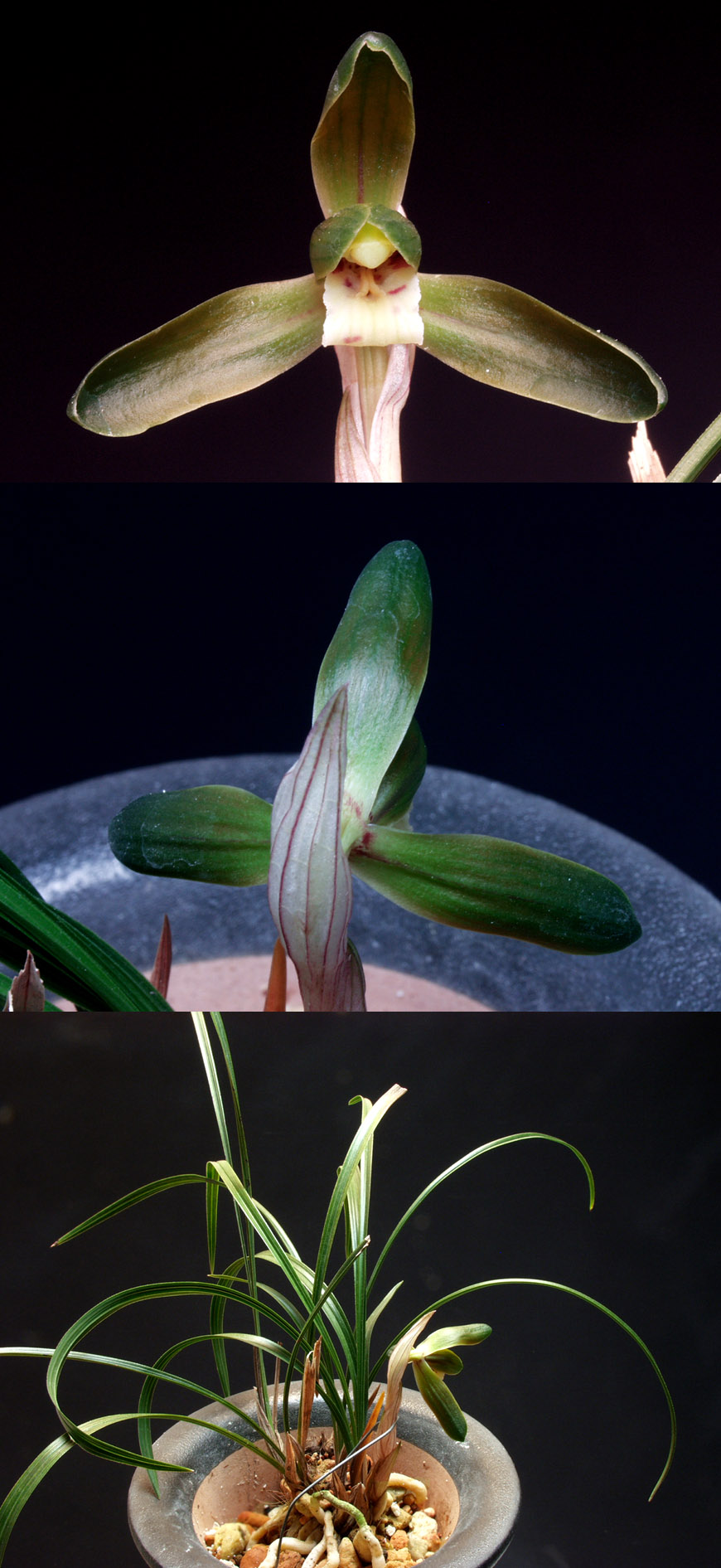 ������ ū������ �� �� �ֽ��ϴ�.