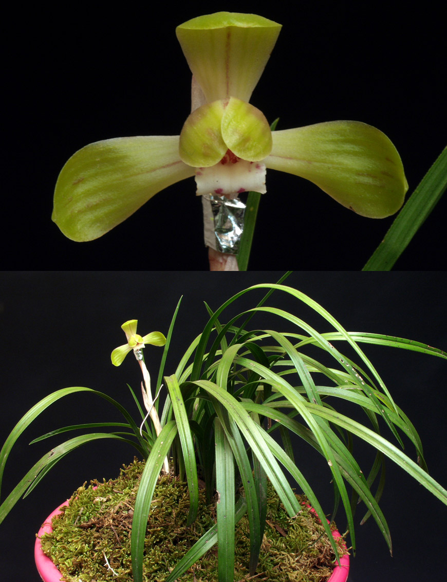 ������ ū������ �� �� �ֽ��ϴ�.