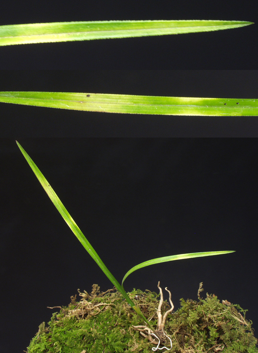 ������ ū������ �� �� �ֽ��ϴ�.