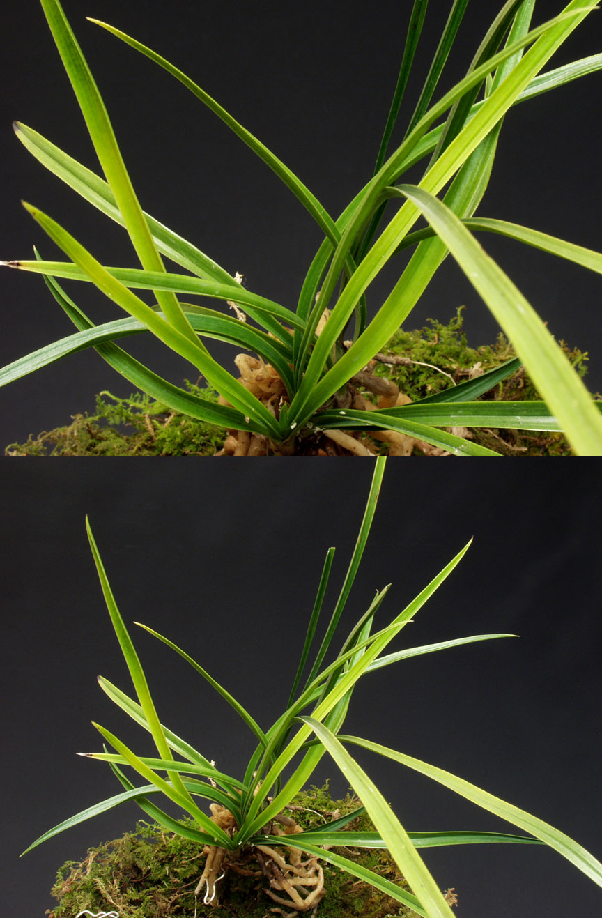 ������ ū������ �� �� �ֽ��ϴ�.