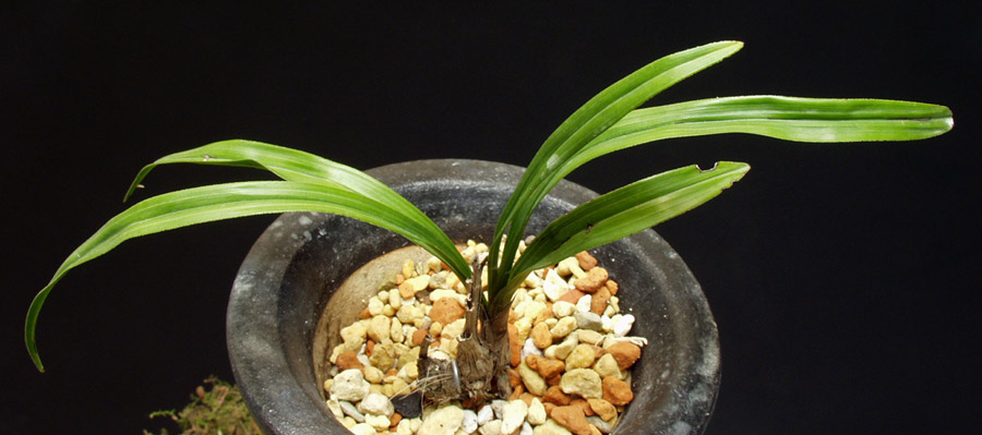 ������ ū������ �� �� �ֽ��ϴ�.