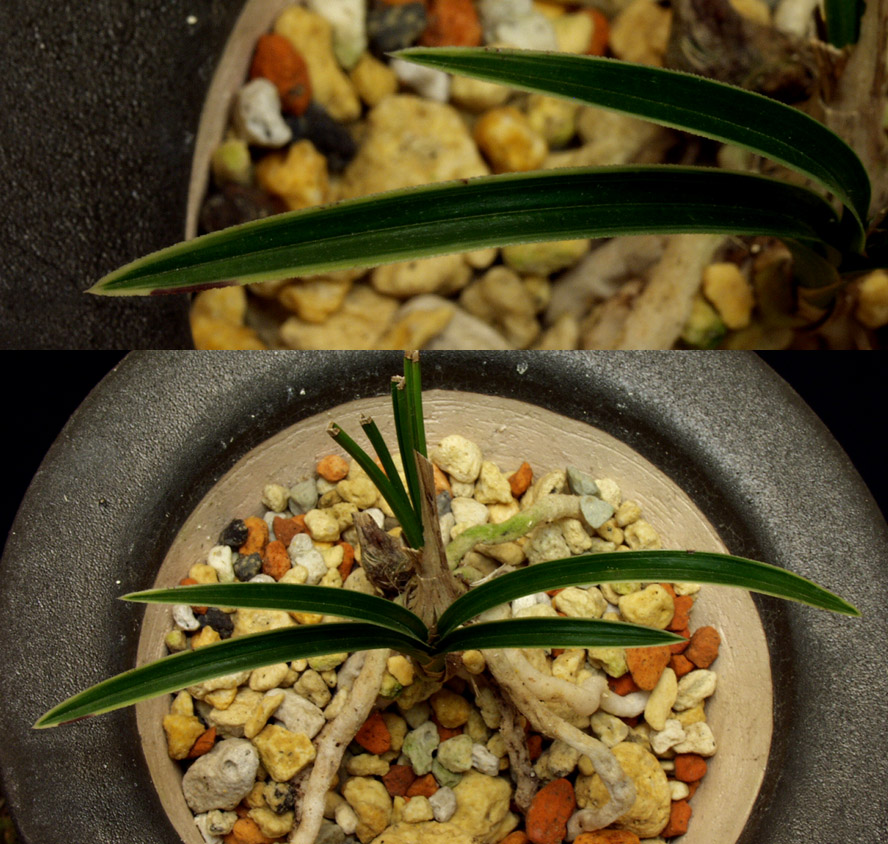 ������ ū������ �� �� �ֽ��ϴ�.