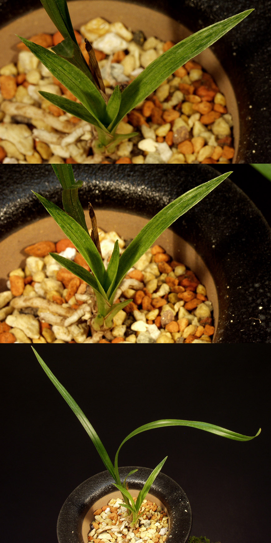 ������ ū������ �� �� �ֽ��ϴ�.