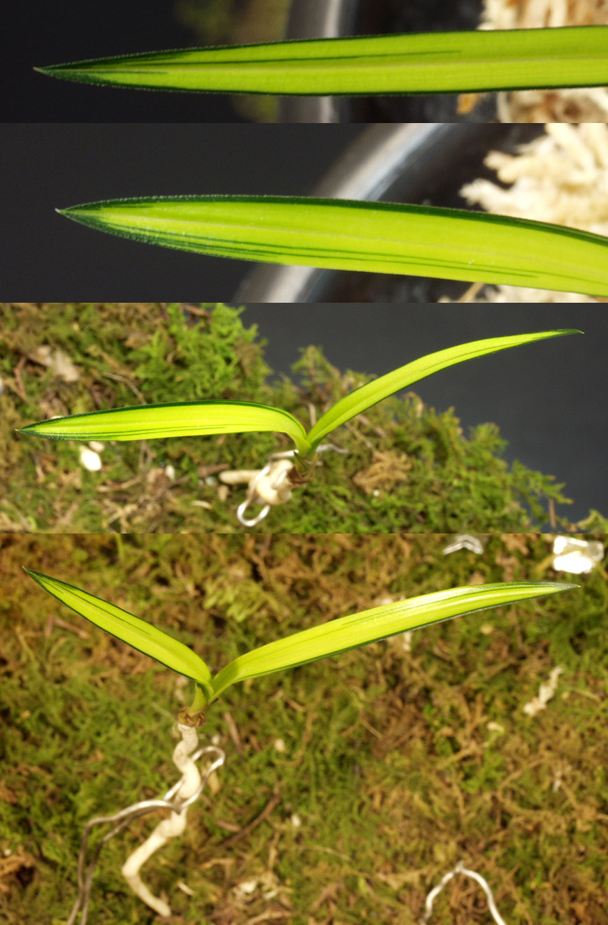 ������ ū������ �� �� �ֽ��ϴ�.