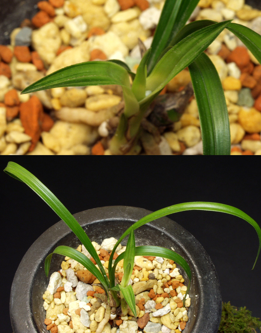 ������ ū������ �� �� �ֽ��ϴ�.