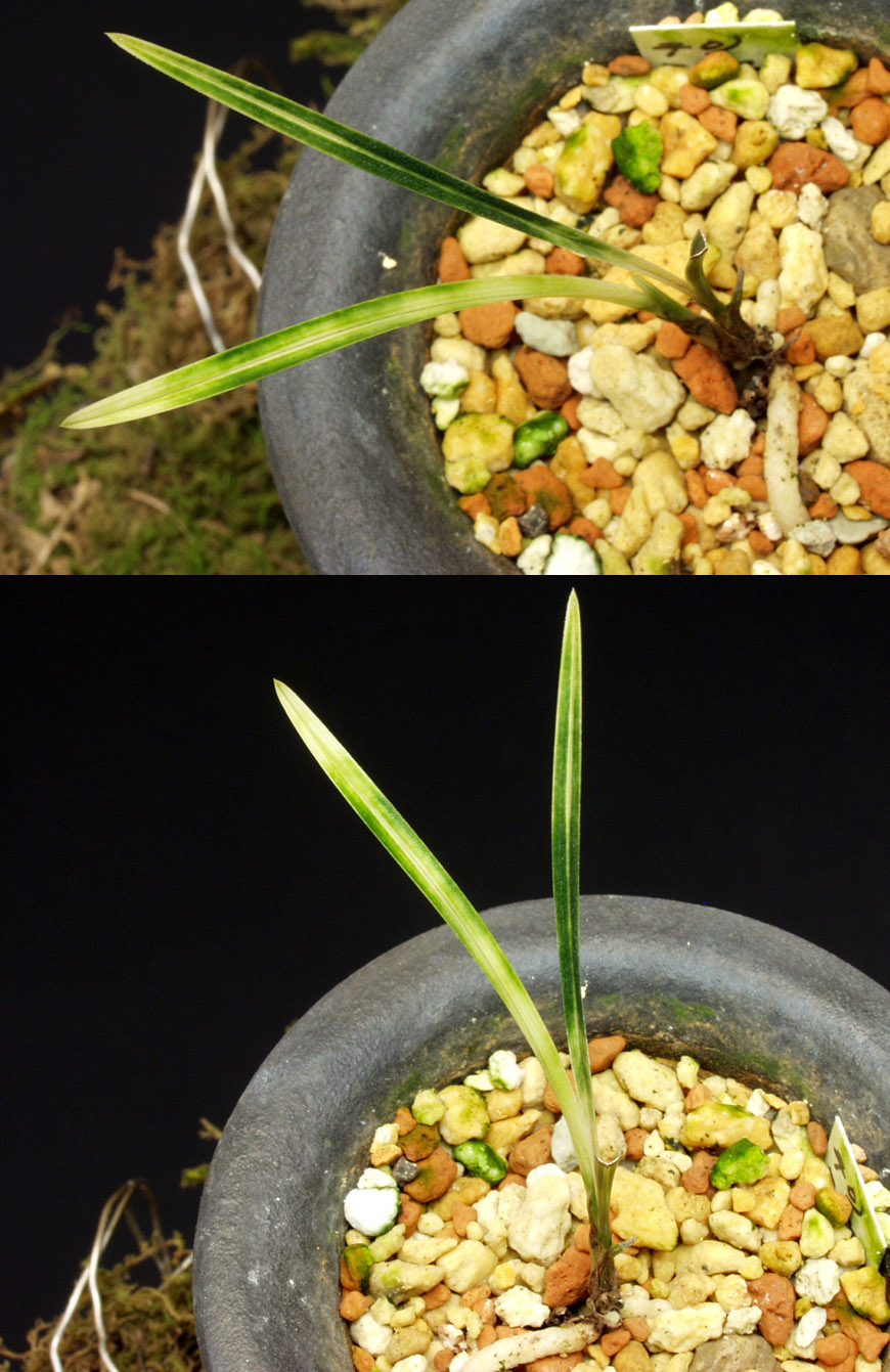 ������ ū������ �� �� �ֽ��ϴ�.