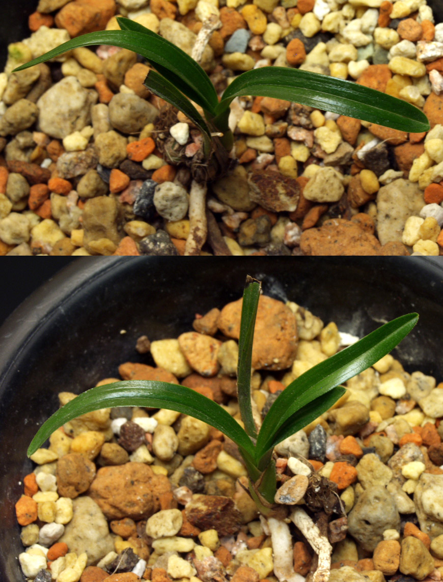 ������ ū������ �� �� �ֽ��ϴ�.