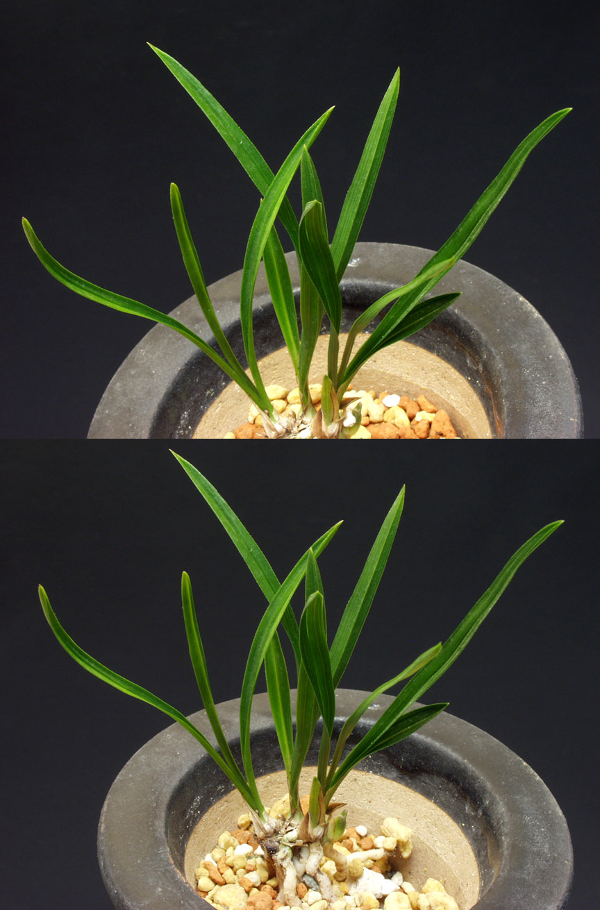 ������ ū������ �� �� �ֽ��ϴ�.