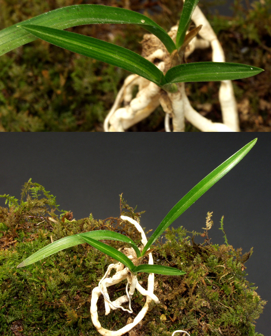 ������ ū������ �� �� �ֽ��ϴ�.