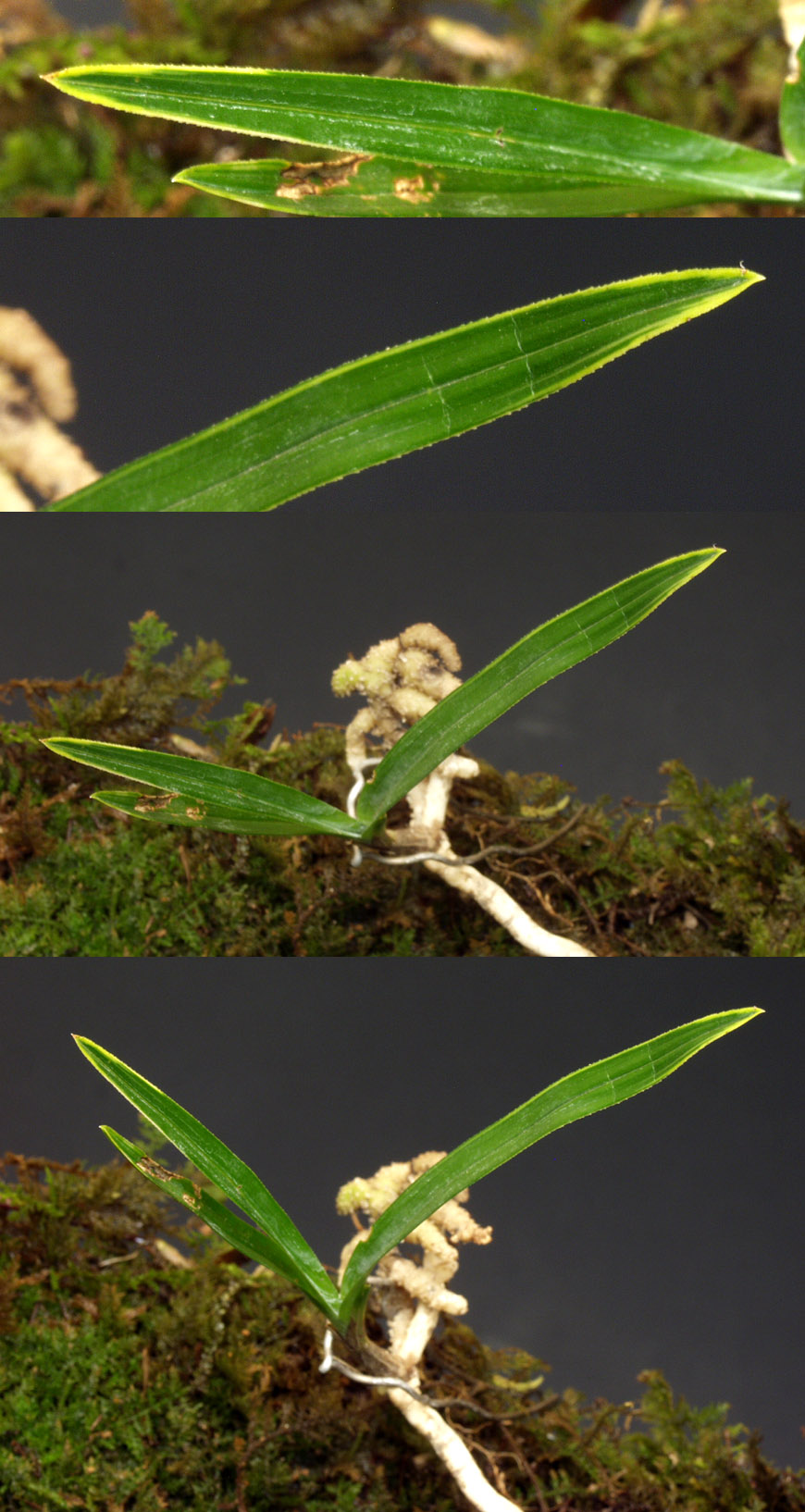 ������ ū������ �� �� �ֽ��ϴ�.