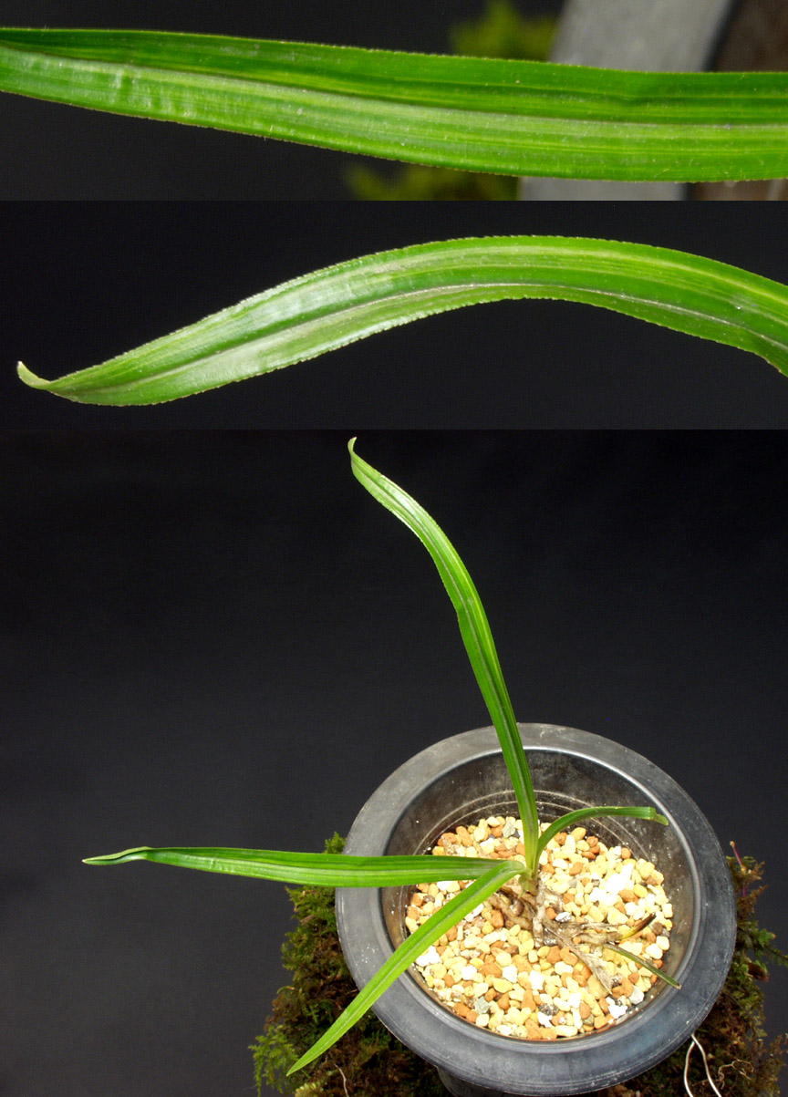 ������ ū������ �� �� �ֽ��ϴ�.