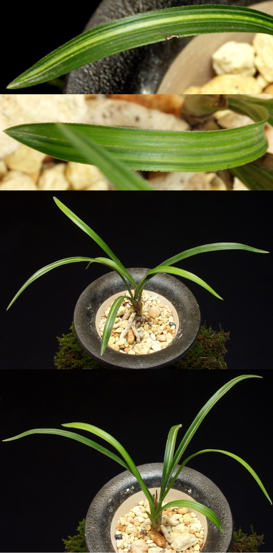 ������ ū������ �� �� �ֽ��ϴ�.